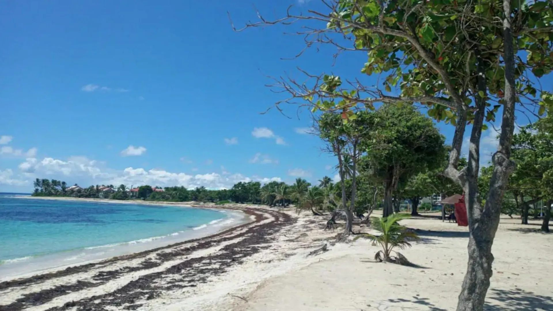 Villa Cristalline Douceur des Alizés Belle-Allée Guadeloupe